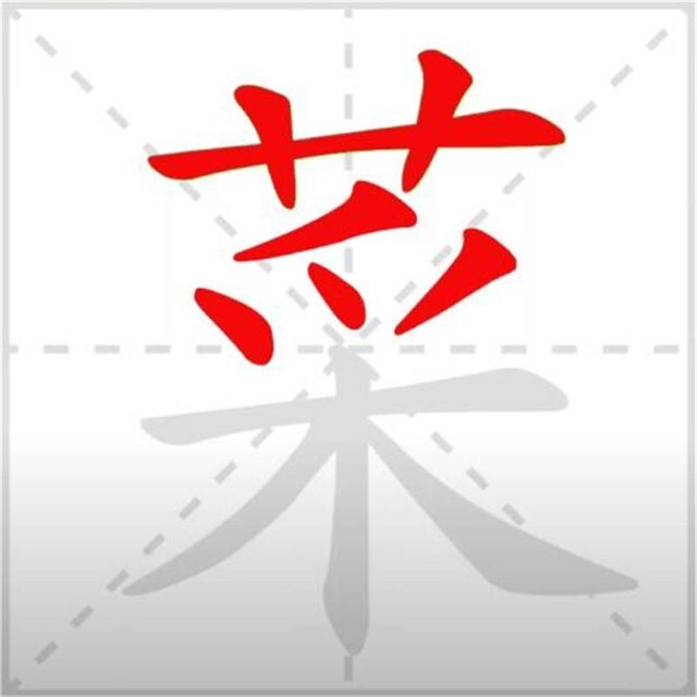 比比大脑瓜