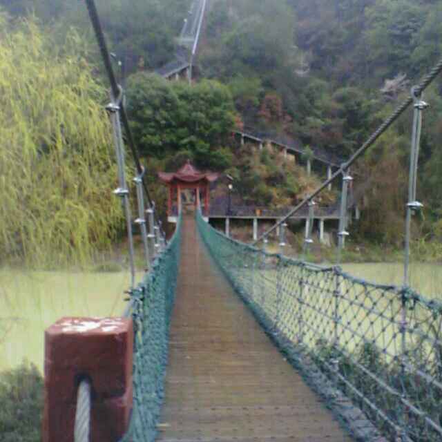 陈哥