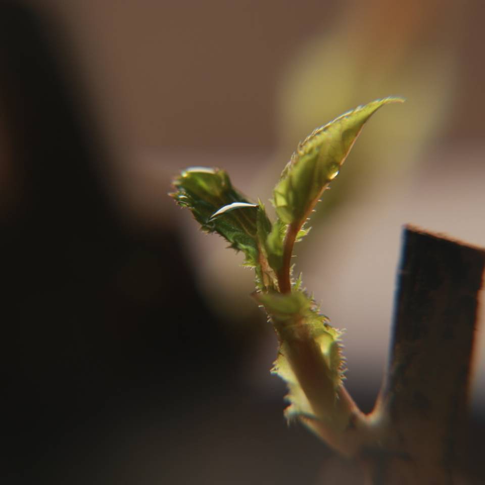 一无所有