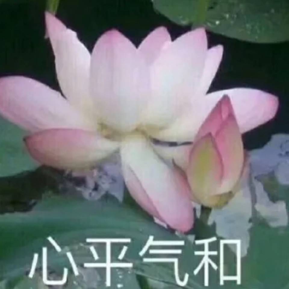 天天开心