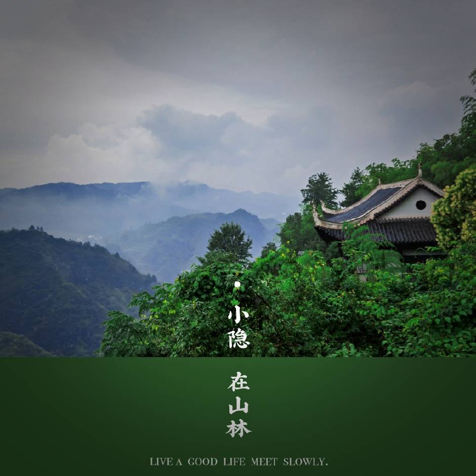 疯狂考古f1