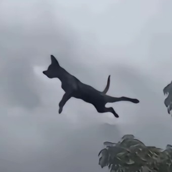 1023
