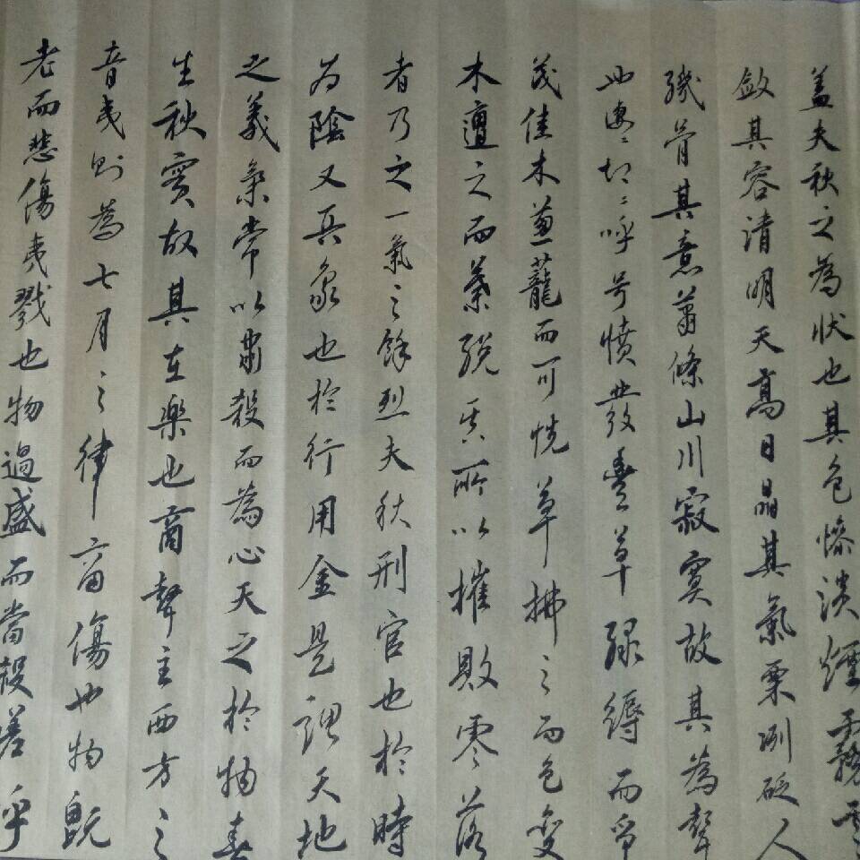 泽军(摇钱)