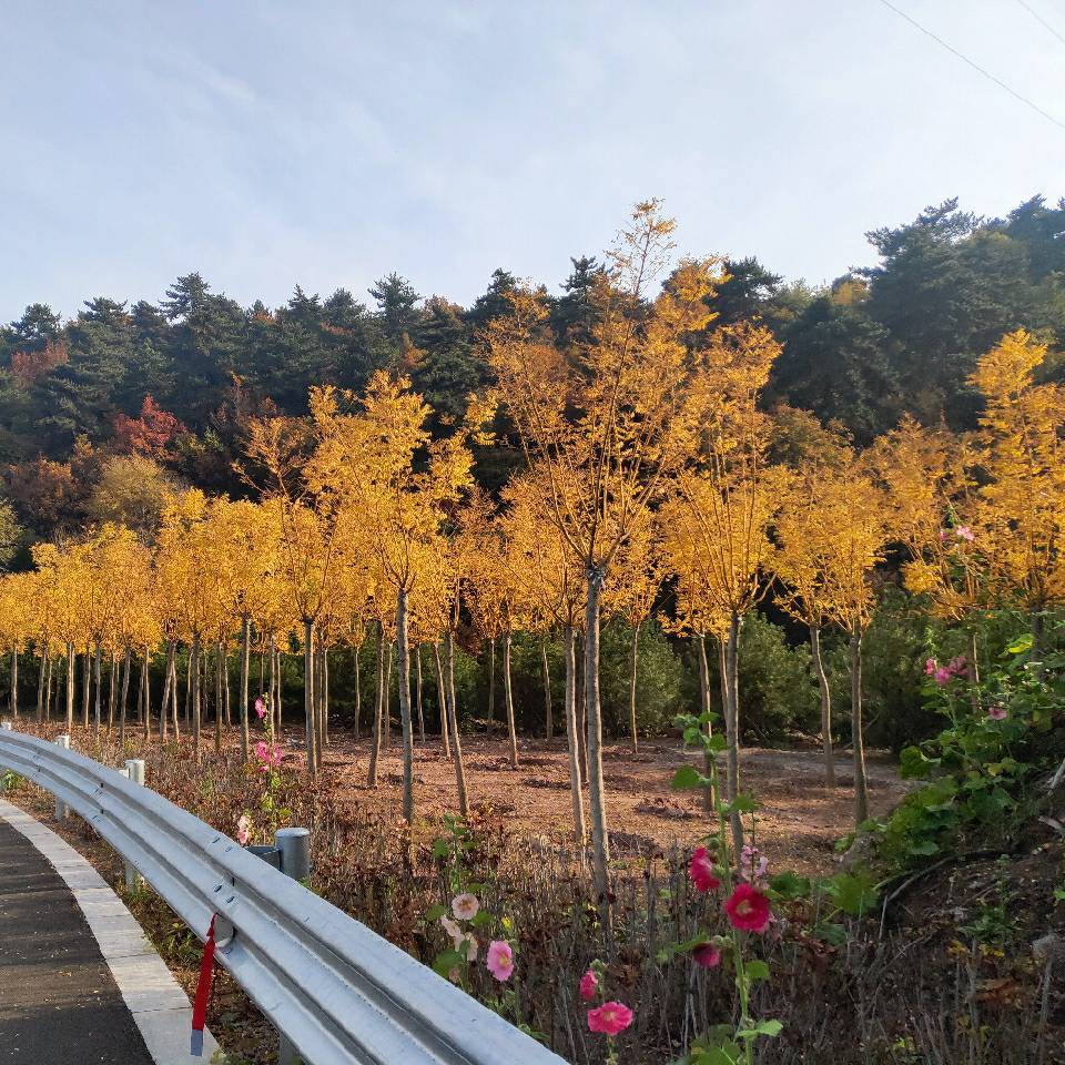 深入浅出通信原理