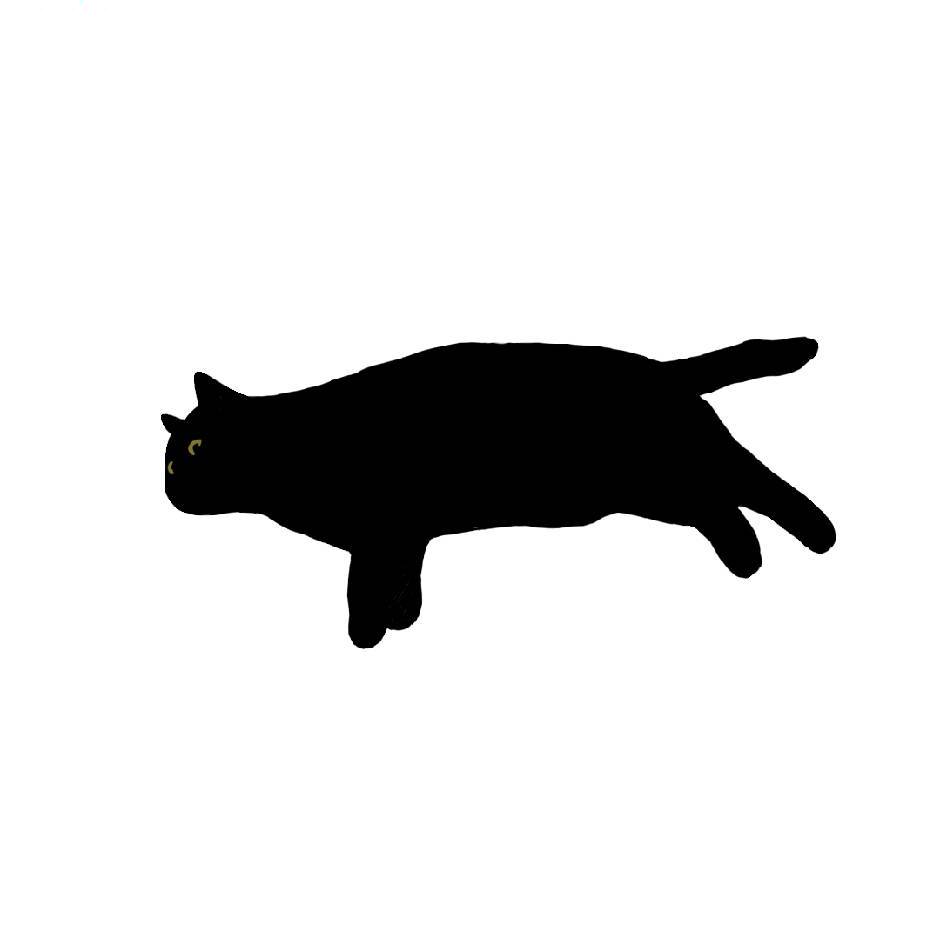 躺倒猫