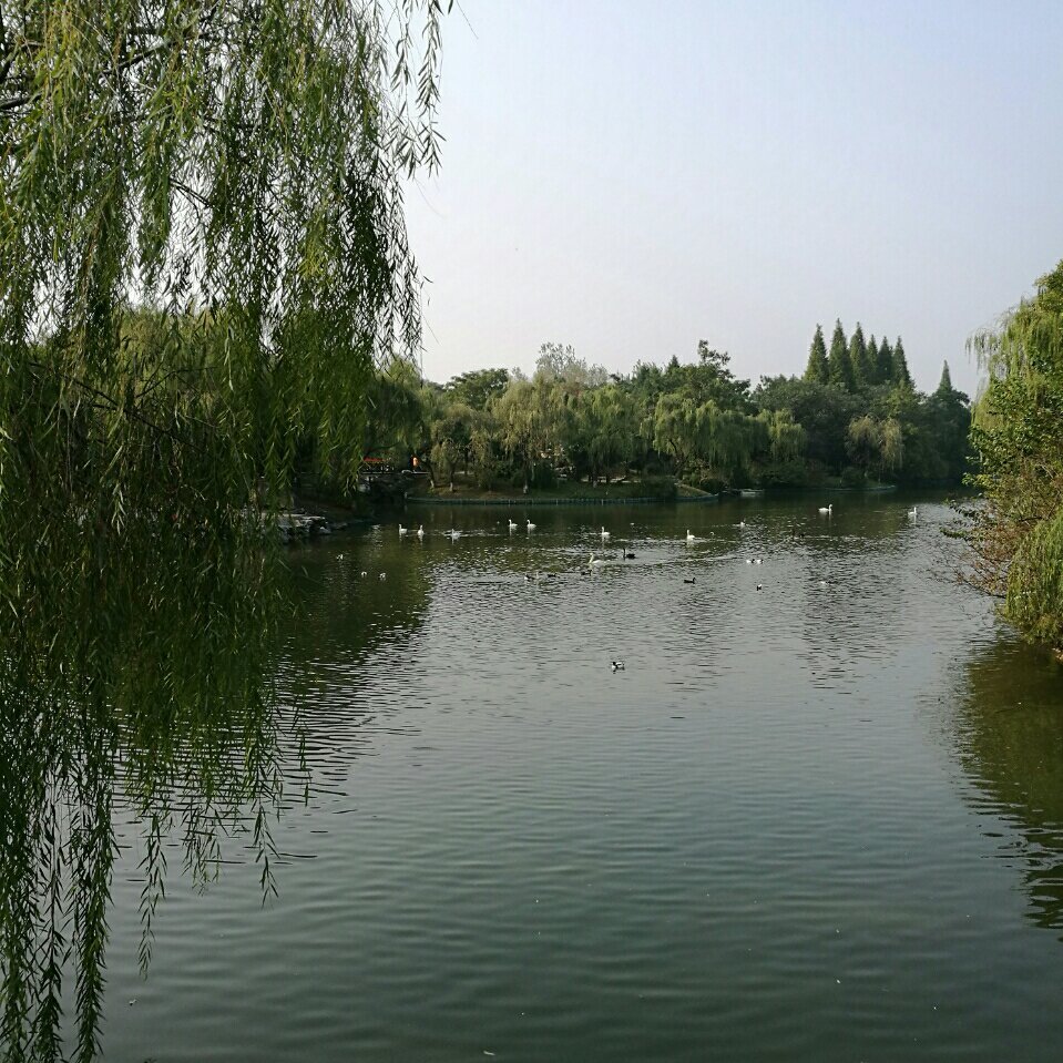 小太刀