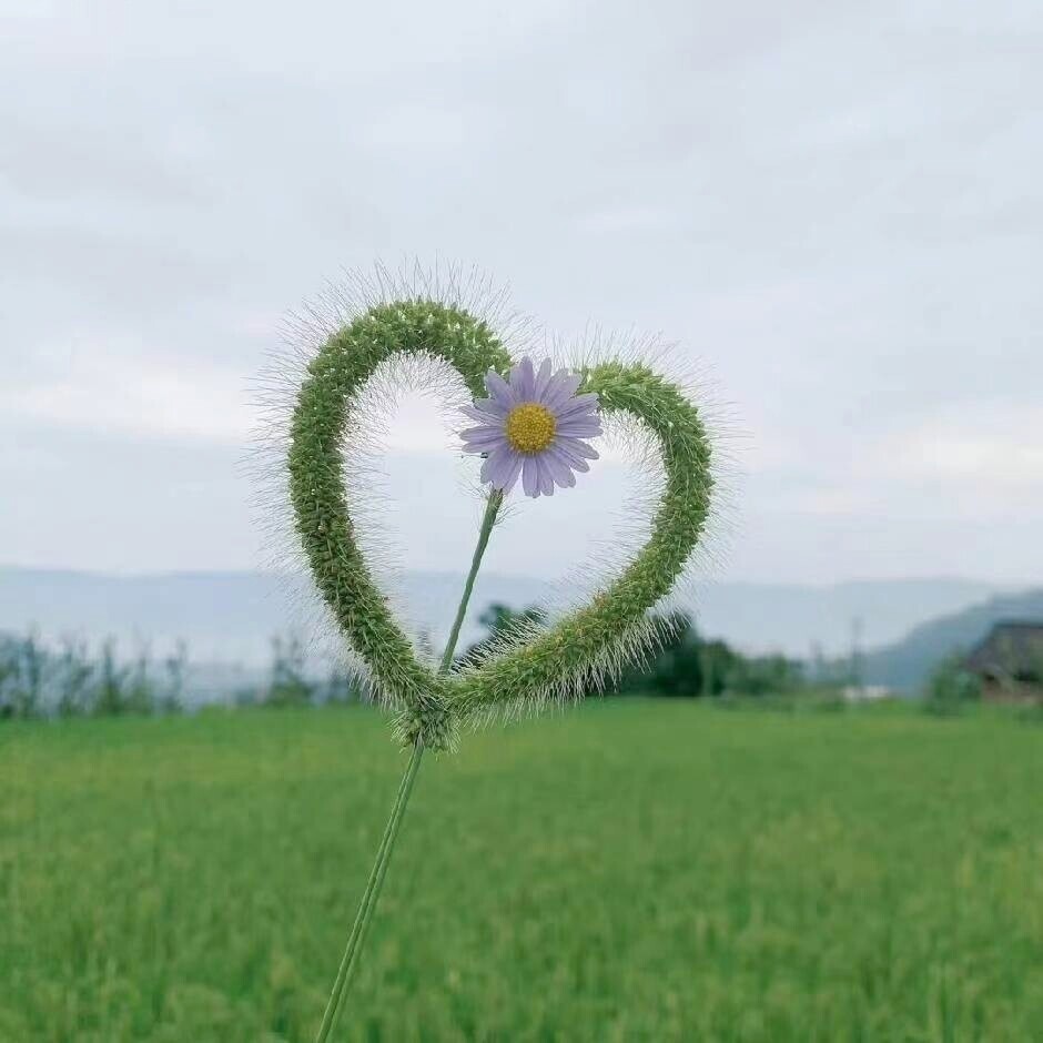 秀峰