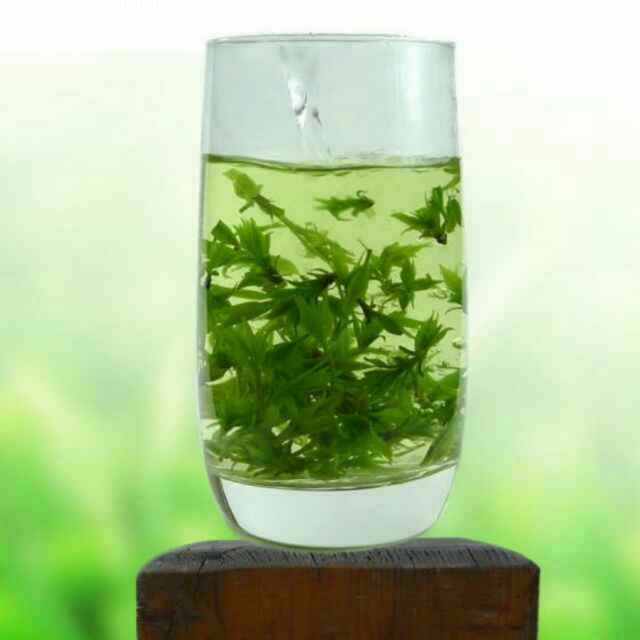 青山绿水