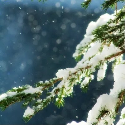 ༺༃ 点默 ༃༻