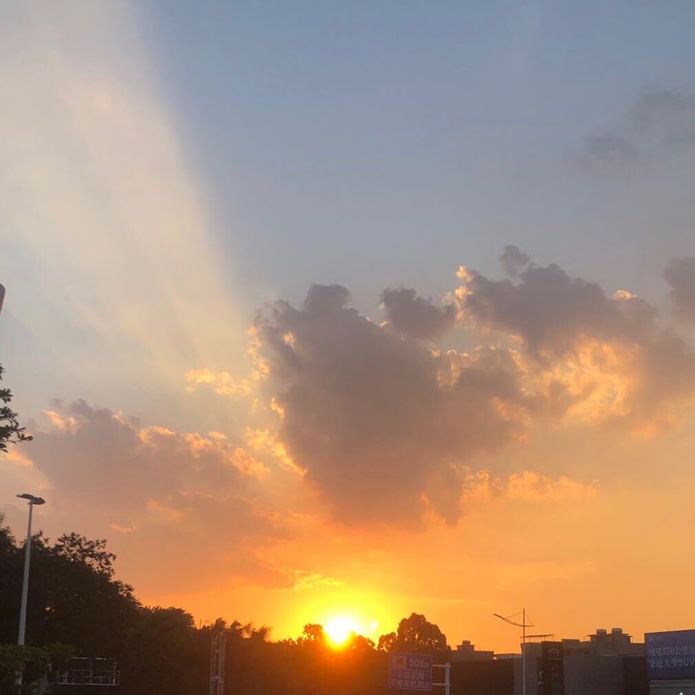 兔子老三