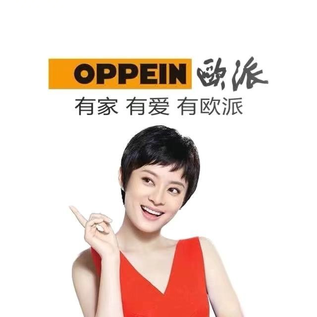 龙岗欧派专卖店