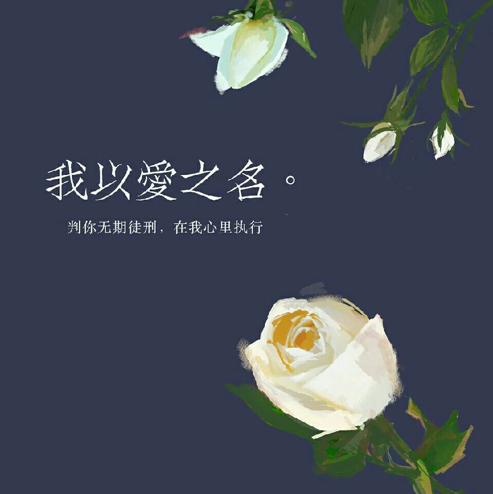 用戶頭像