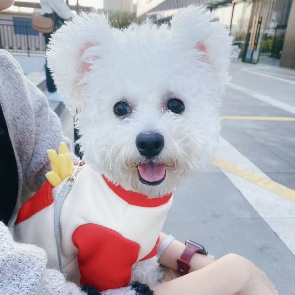 不该