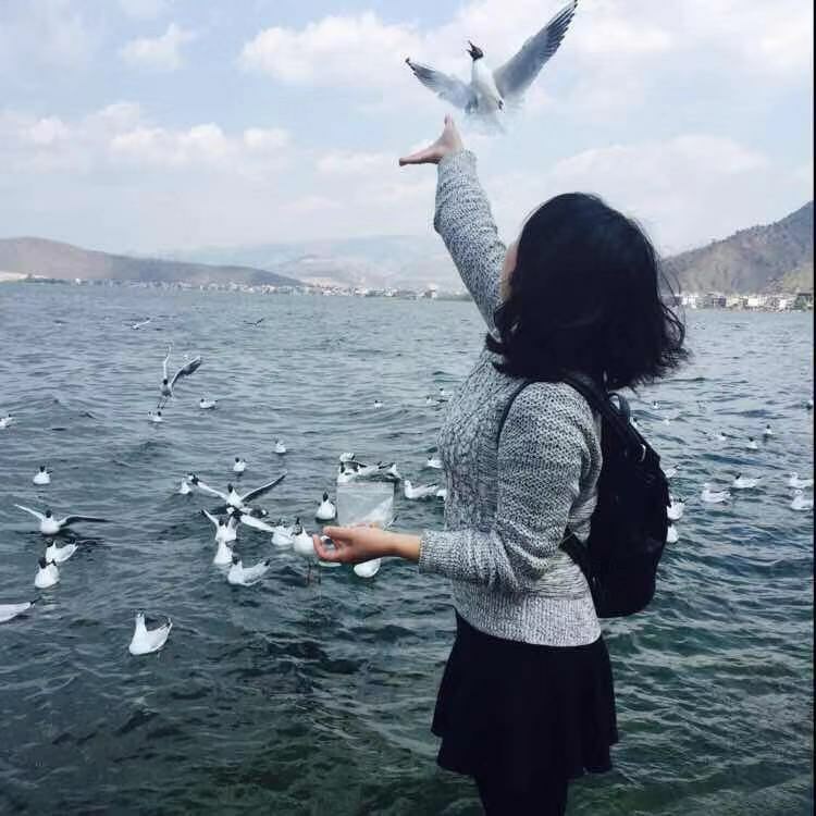 爱酱