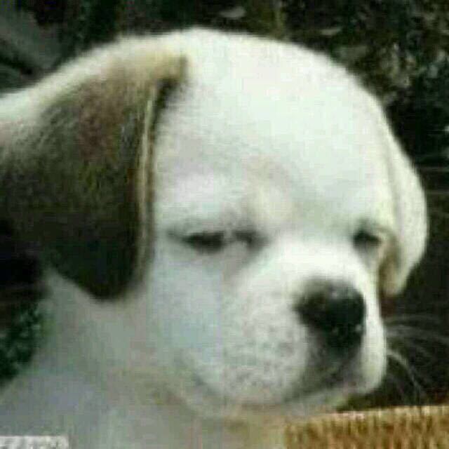 阿尔卑斯(清爽版)