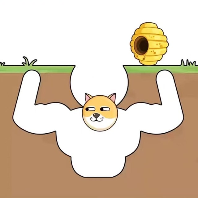护我狗头