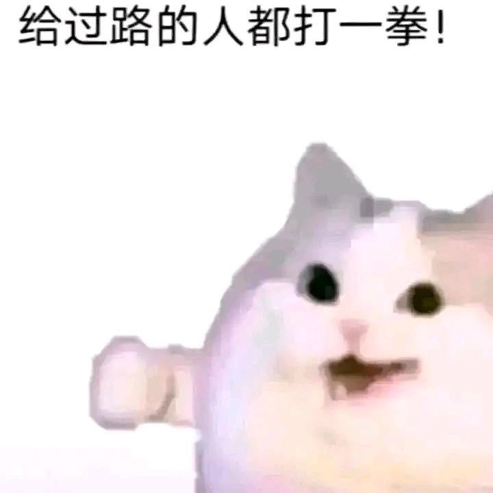 你说的都对