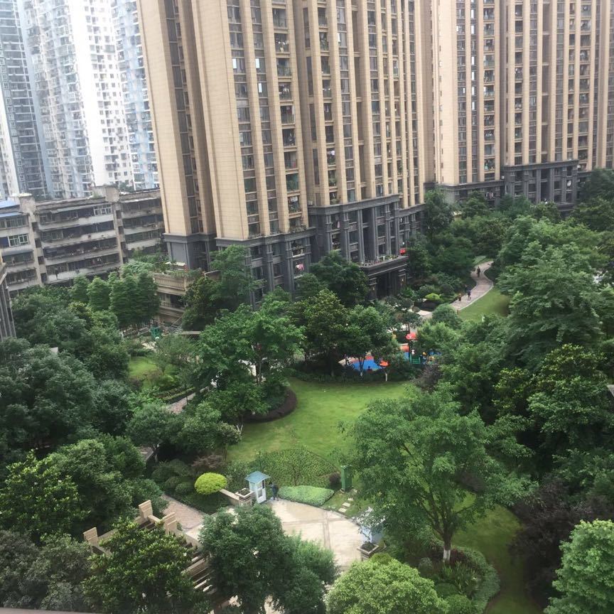 用戶頭像