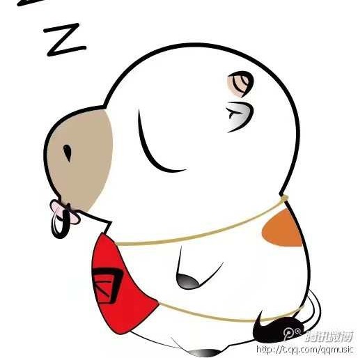 逆流而上的猫