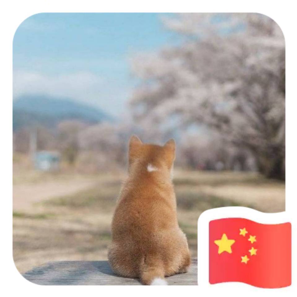 林锦兴