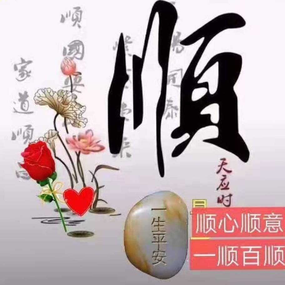 无名小竹           杨