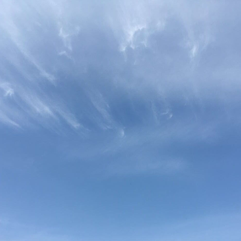 博尔赫斯：最后的访谈