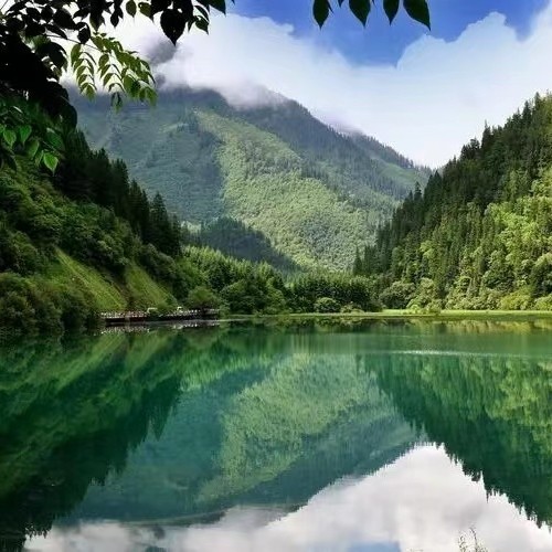 晨小桐