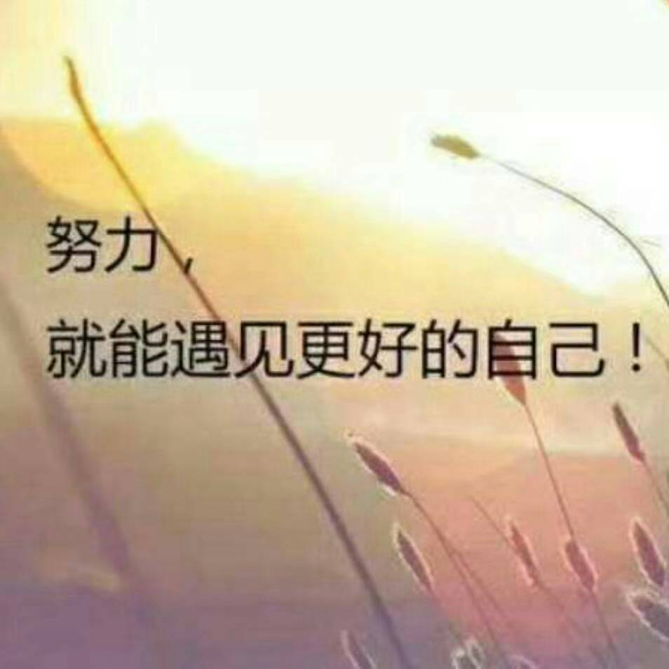 九佳易软件王辉