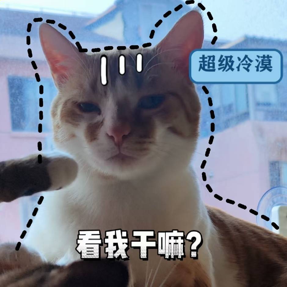 不似懦弱