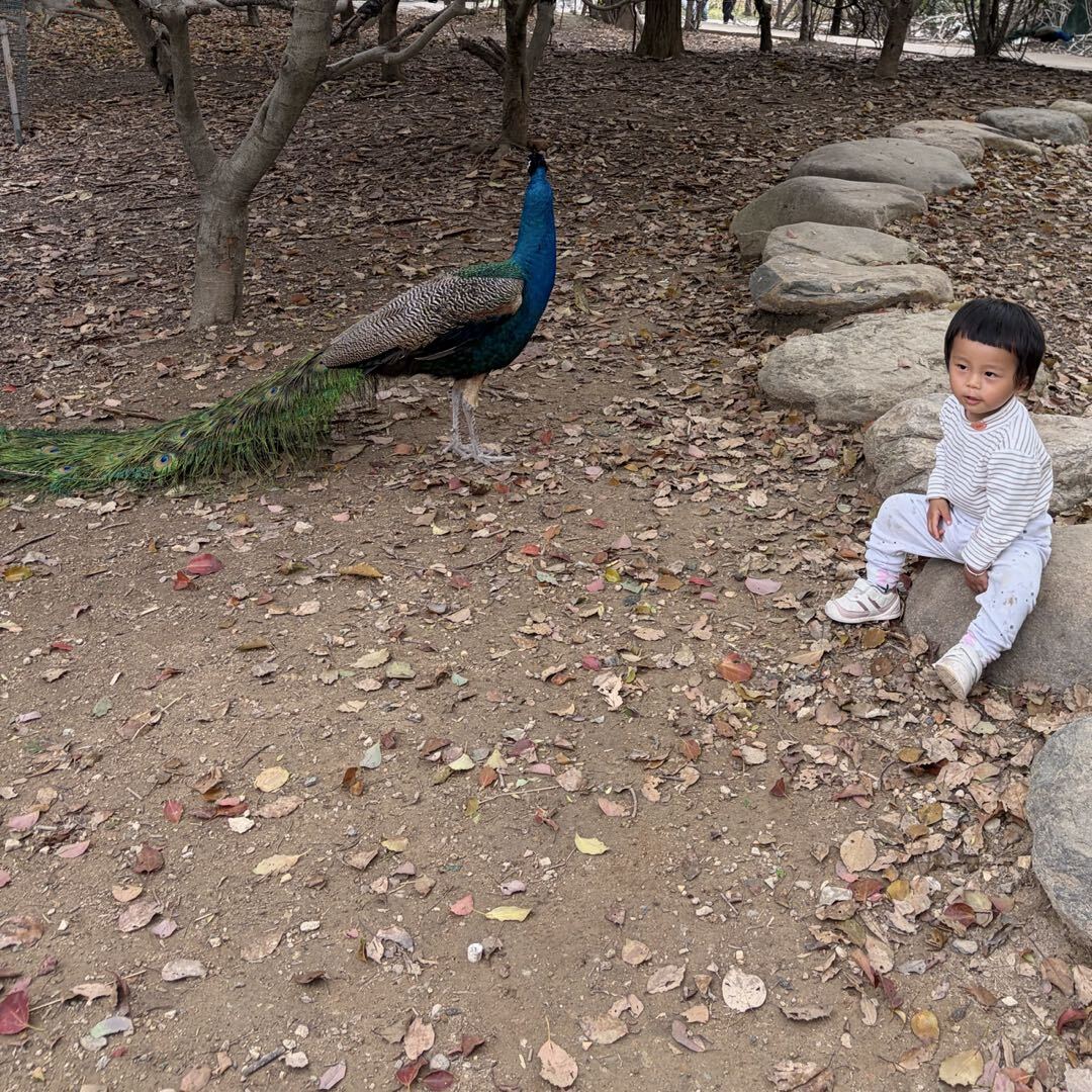清闲一刻