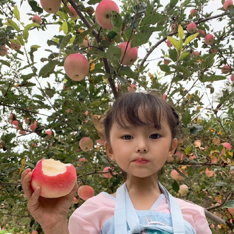 珍妹水果🍎