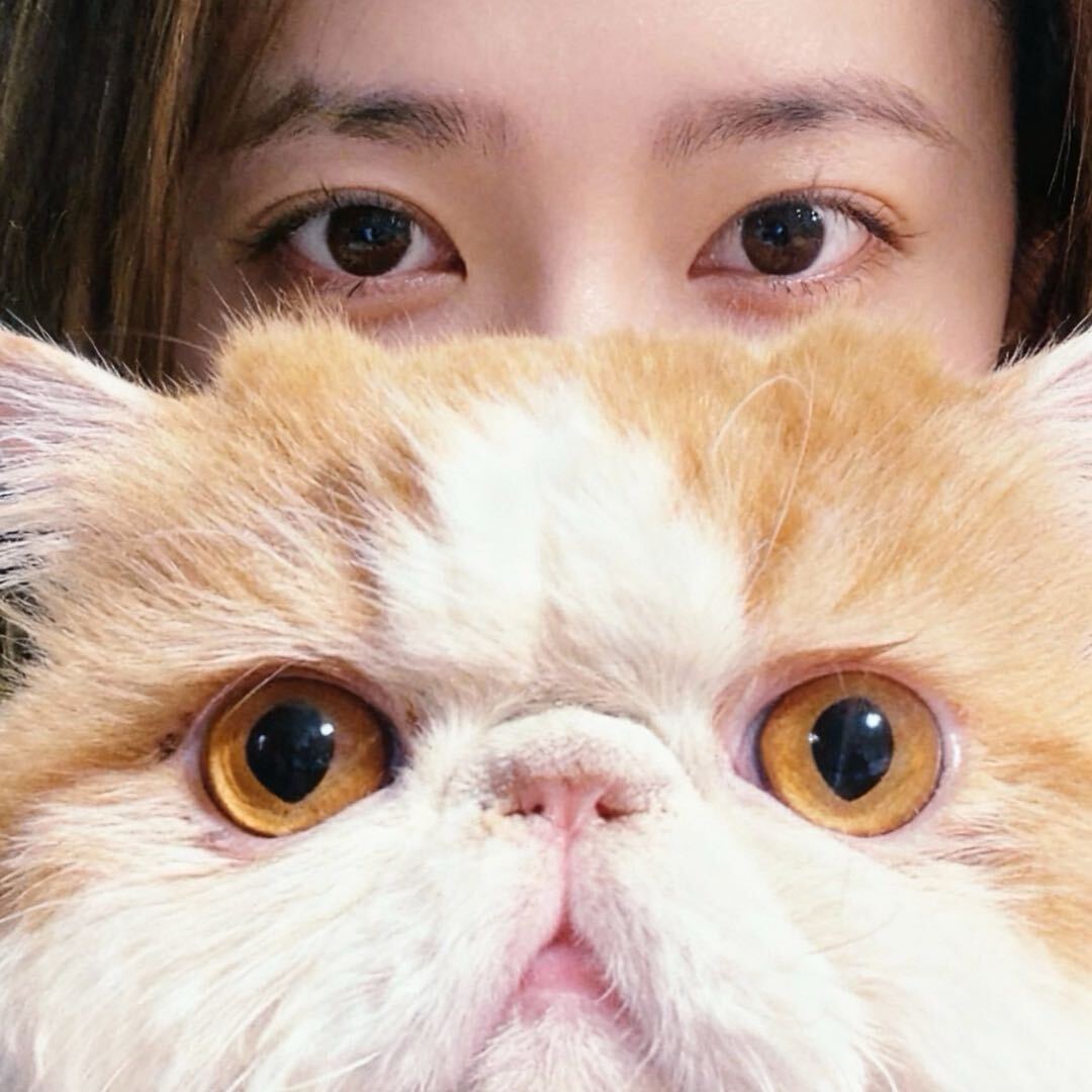 momo