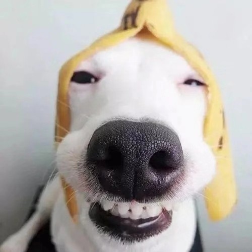 。。