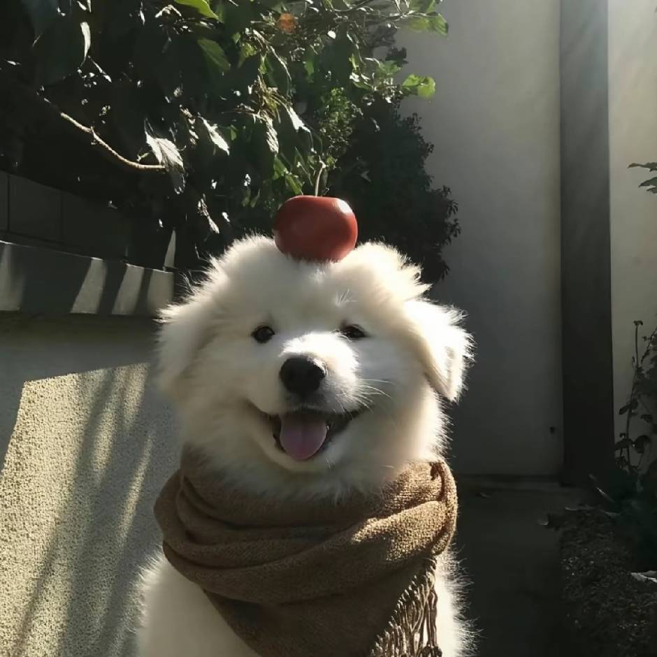 涵涵大王万岁