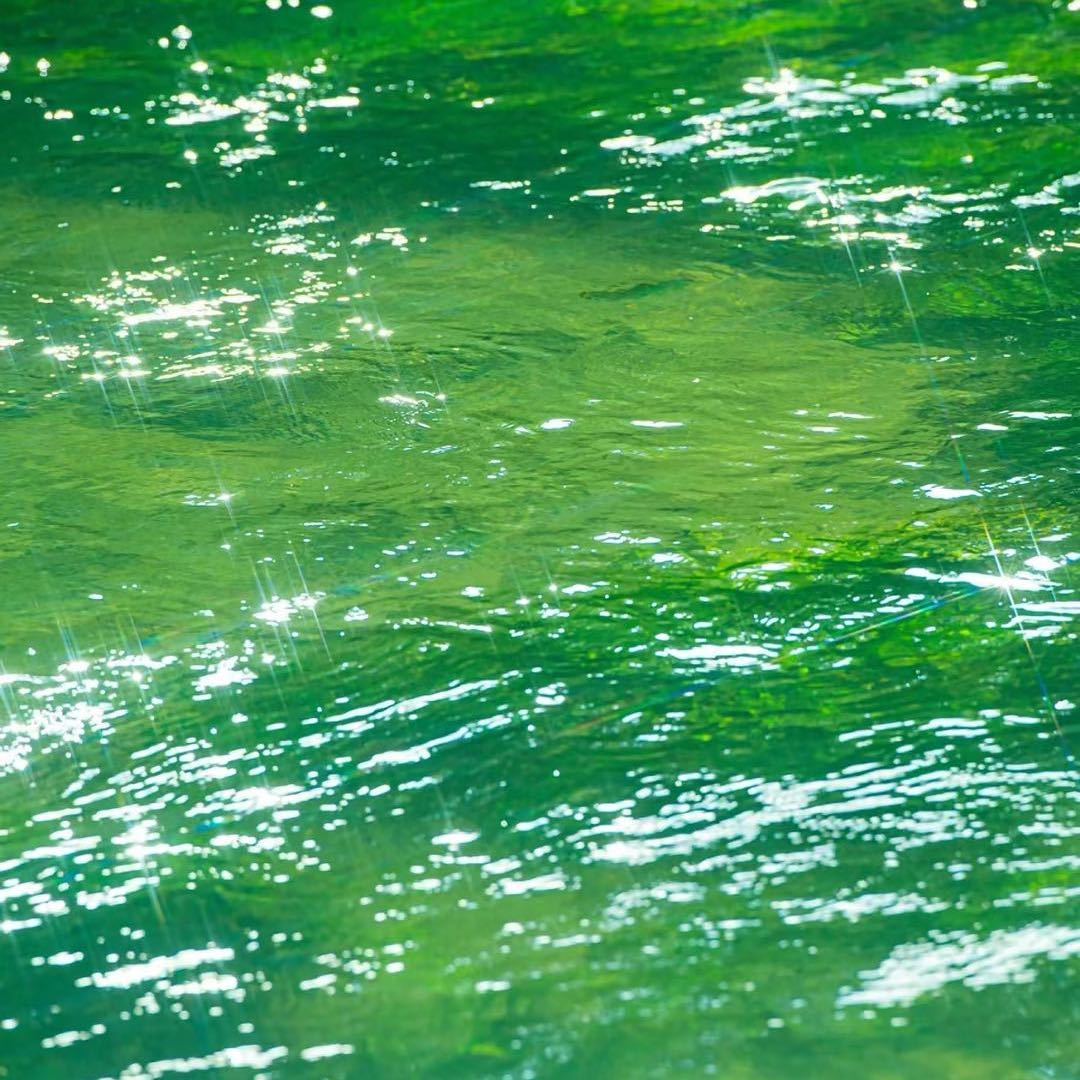 请君饮酒三两三