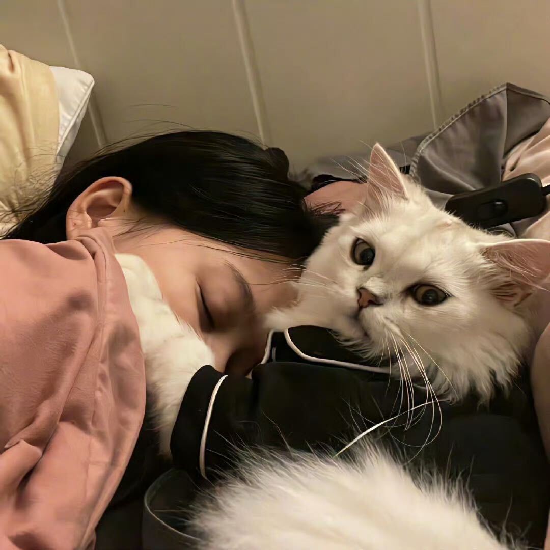 繁星