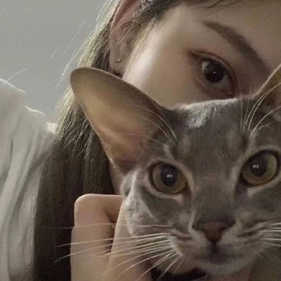悦