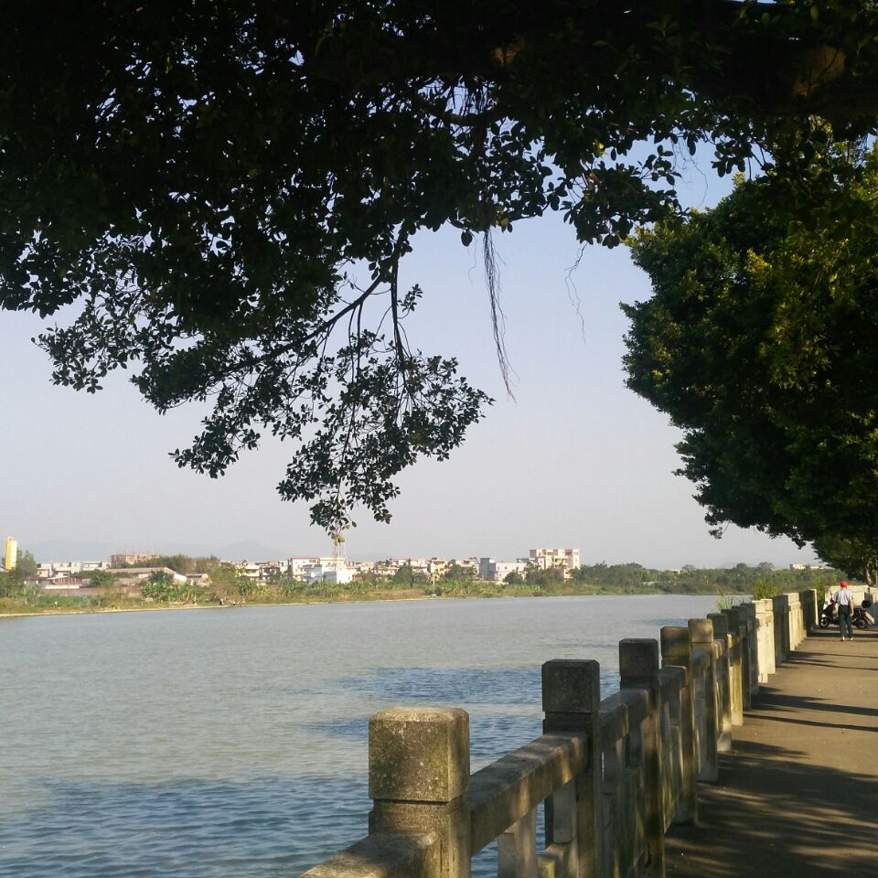 坚果，