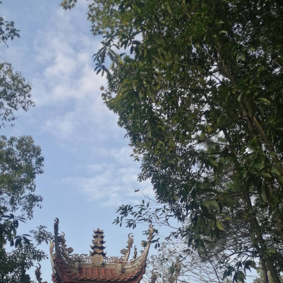 李薇