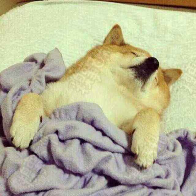 YD的一天又开始了