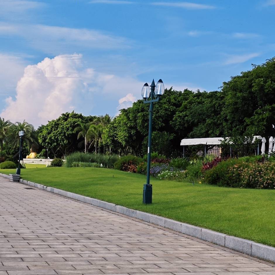 冲天雨（何工）