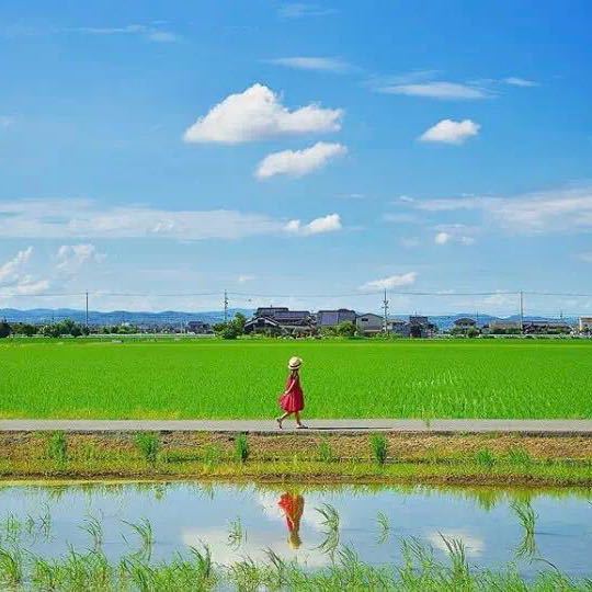 临床检验医学