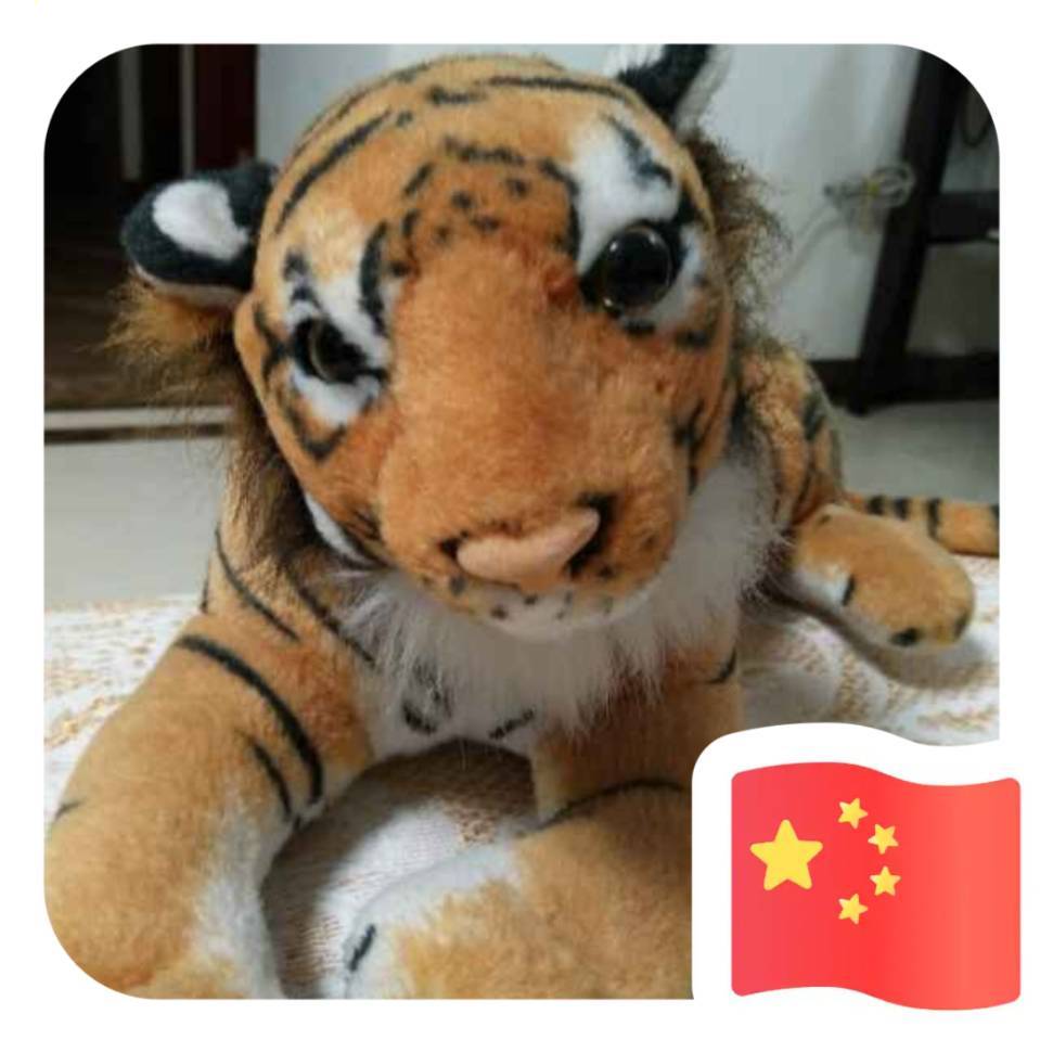 tiger