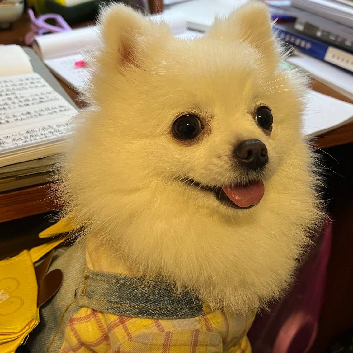 我就不