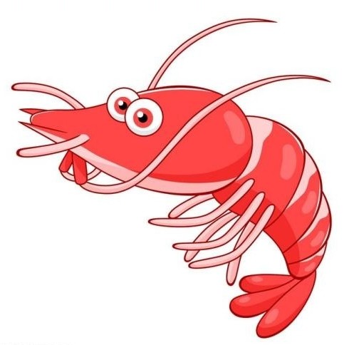 彩龙虾 🦞