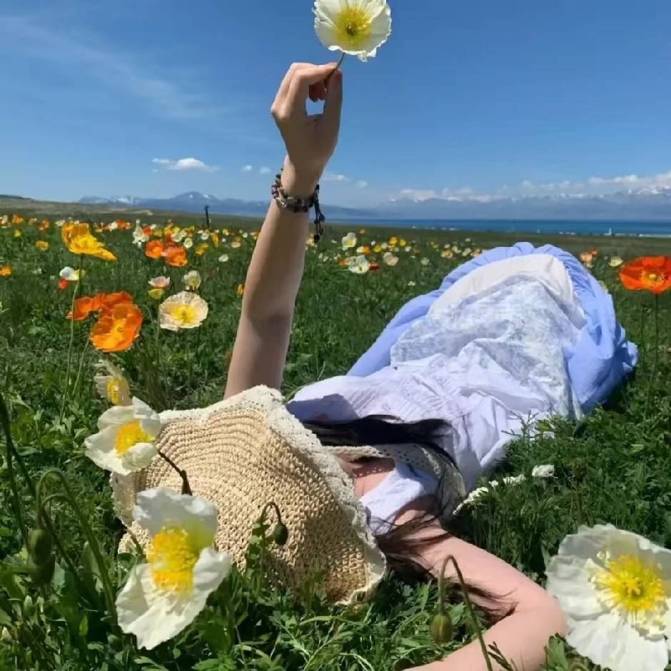 珍🌸