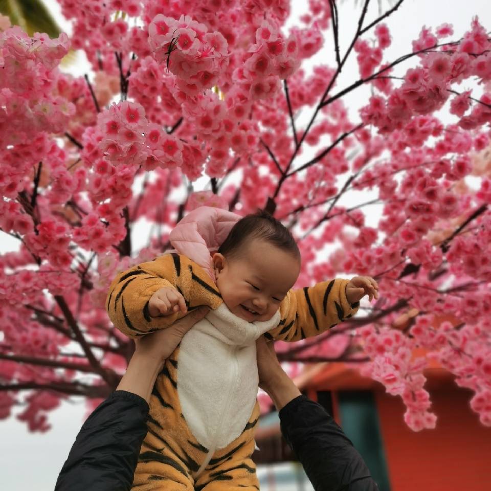 刘嘉婵