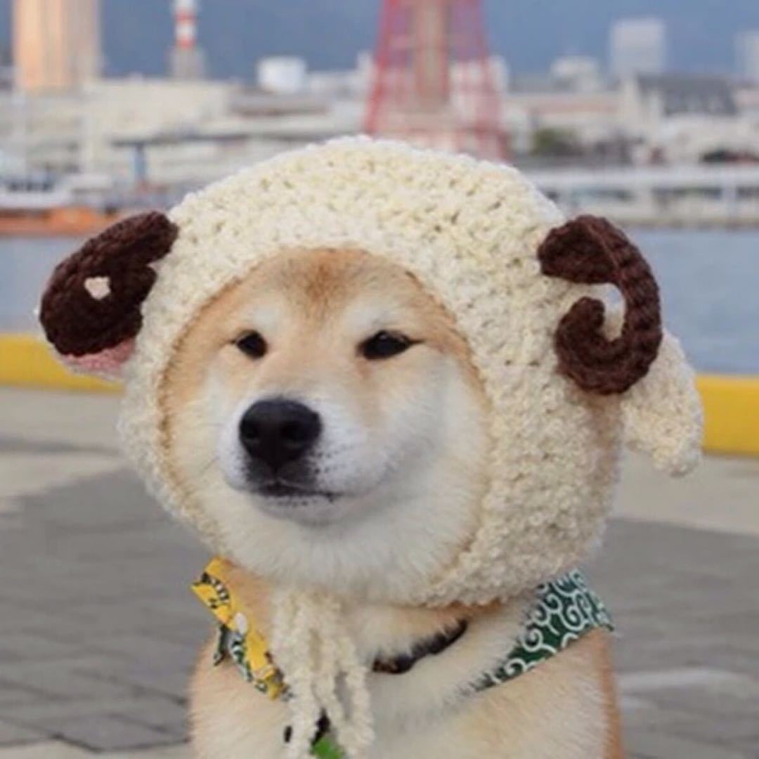 快帮主