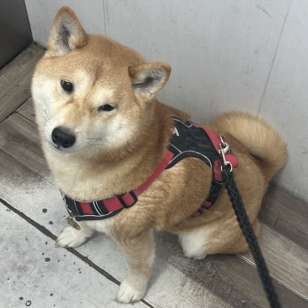 莫桑比克Here！