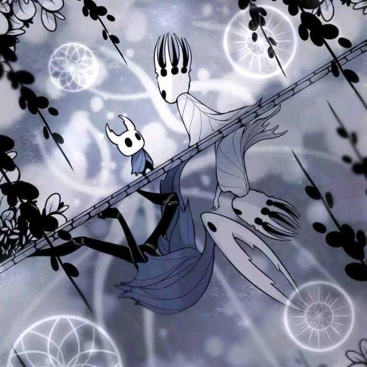 镜花水月ོꦿ